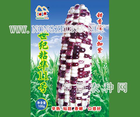 世纪粘华11号
